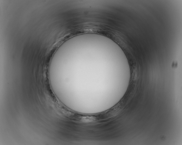 X0000111390363200907101006
