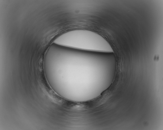 X0000111390364200907101006
