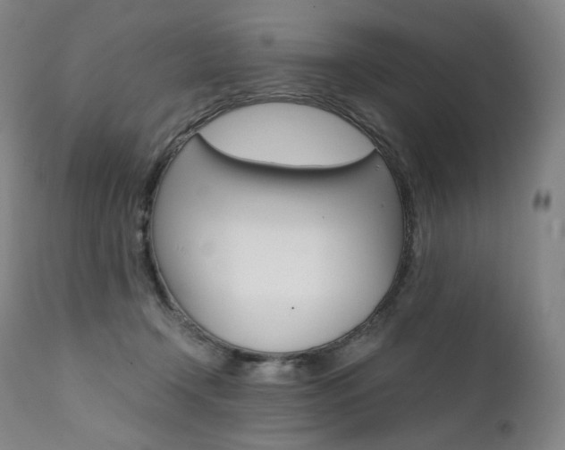 X0000111390366200907101006