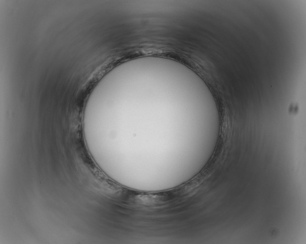 X0000111390367200907101006