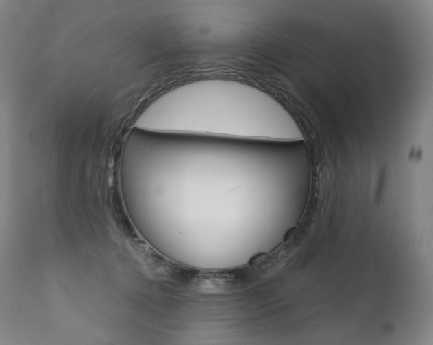 X0000111390368200907101006