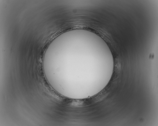 X0000111390369200907101006