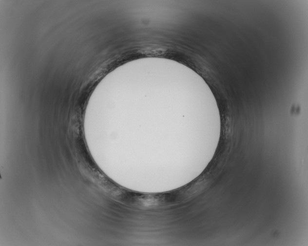 X0000111390370200907101007