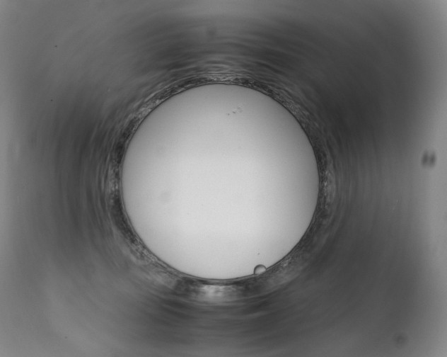 X0000111390371200907101007