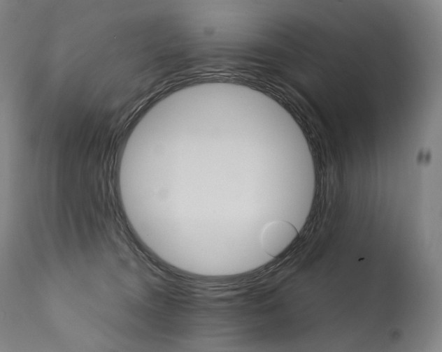 X0000111390372200907101007