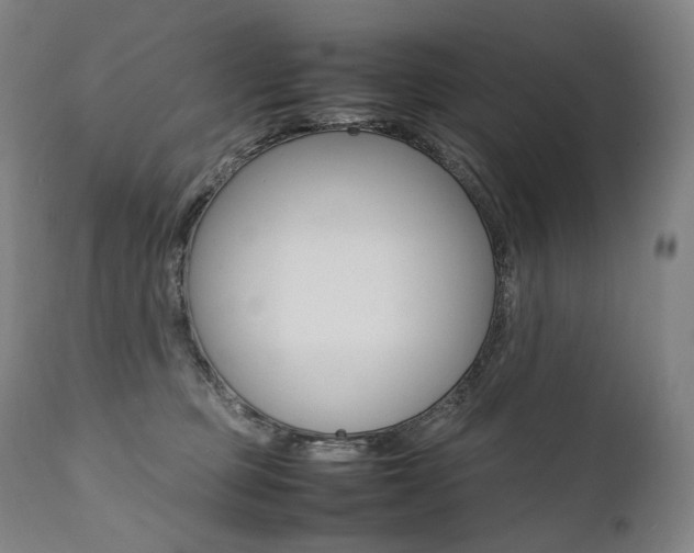 X0000111390373200907101007
