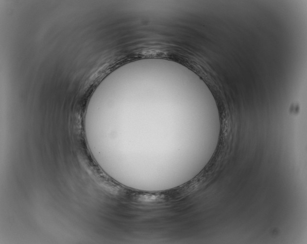 X0000111390375200907101007