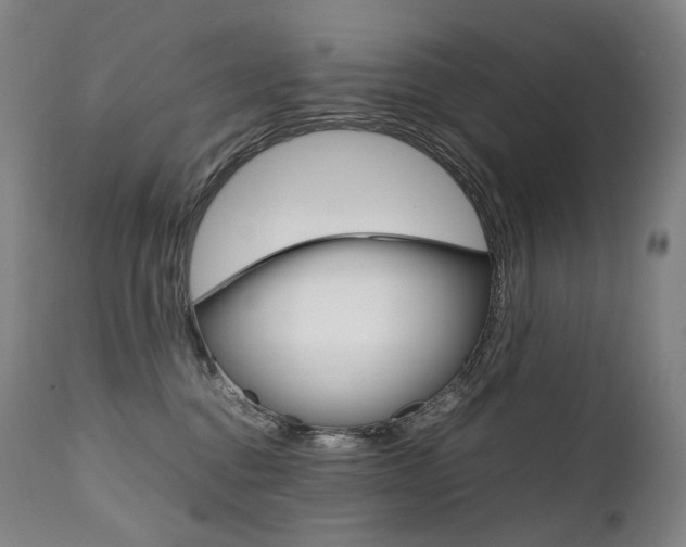 X0000111390376200907101007