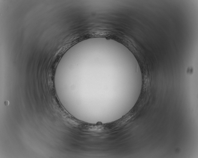 X0000111390377200907101007