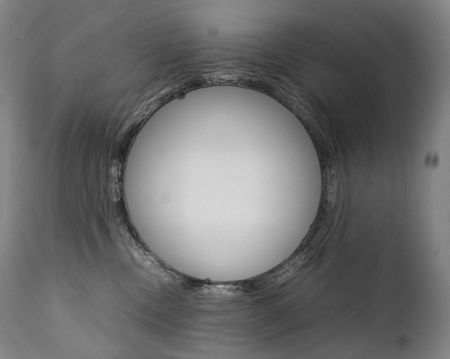 X0000111390378200907101007