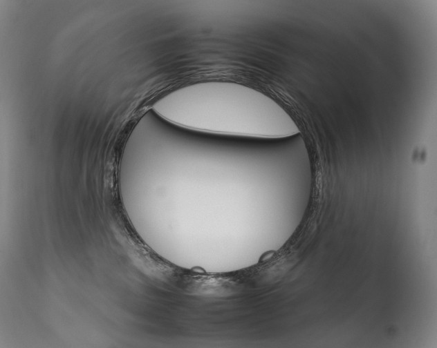 X0000111390379200907101007