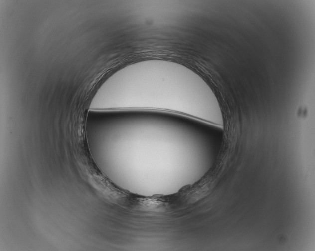 X0000111390380200907101007