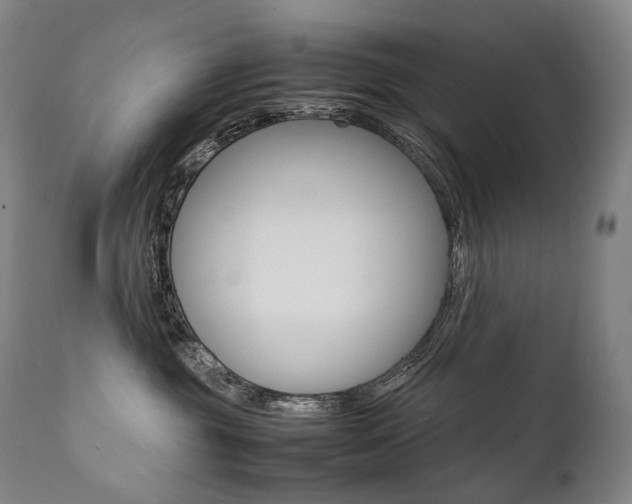 X0000111390381200907101007