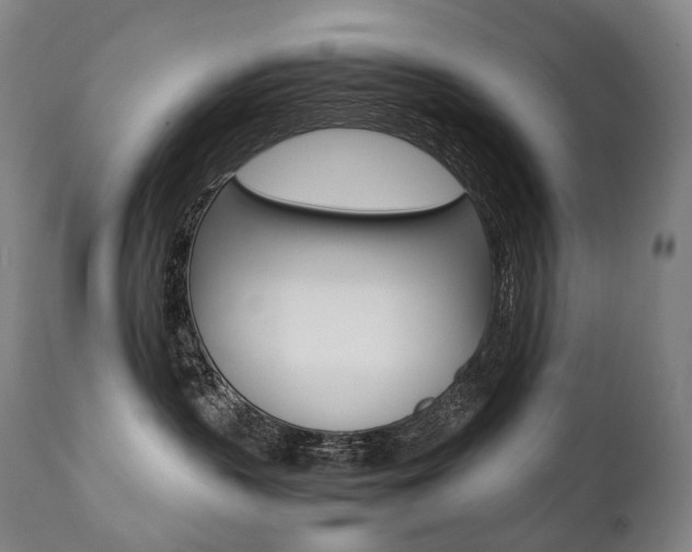X0000111390383200907101007