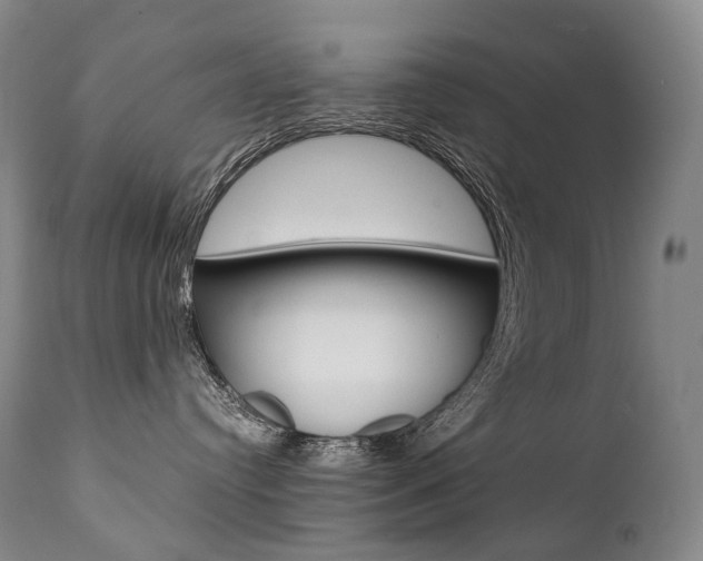 X0000111390384200907101007