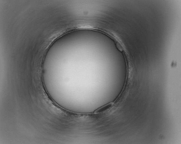X0000111390385200907101006