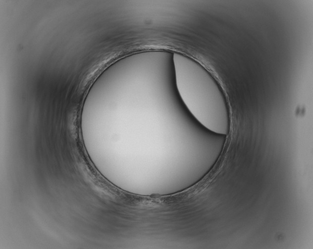 X0000111390386200907101006