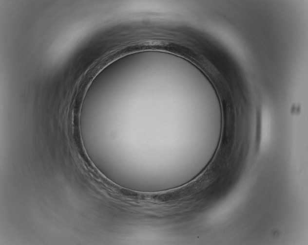 X0000111390387200907101006