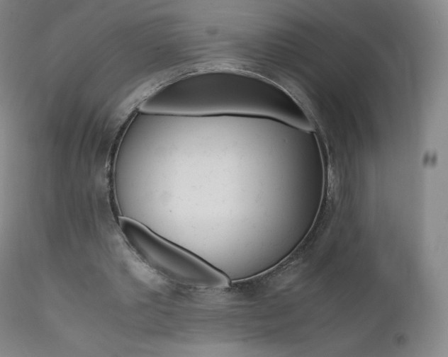 X0000111390389200907101006