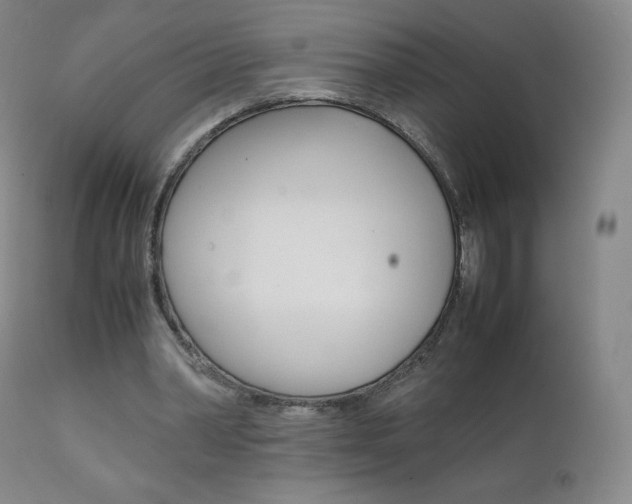 X0000111390390200907101006