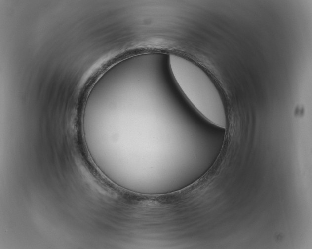 X0000111390392200907101006