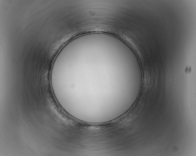 X0000111390394200907101006