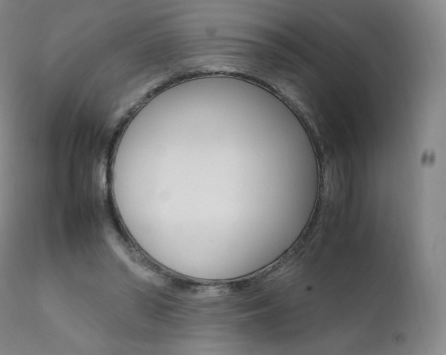 X0000111390398200907101006