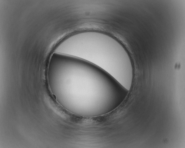 X0000111390399200907101006