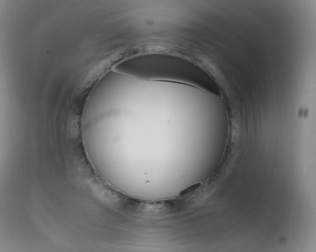 X0000111390401200907101006