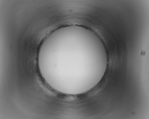 X0000111390402200907101006