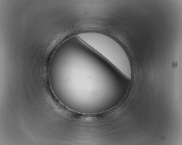 X0000111390407200907101006