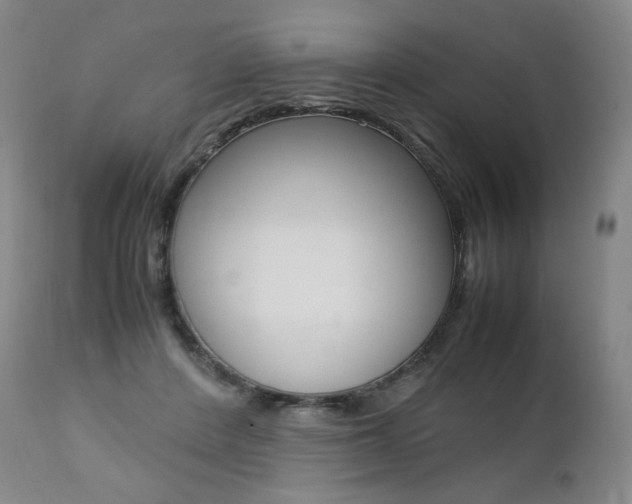 X0000111390408200907101006