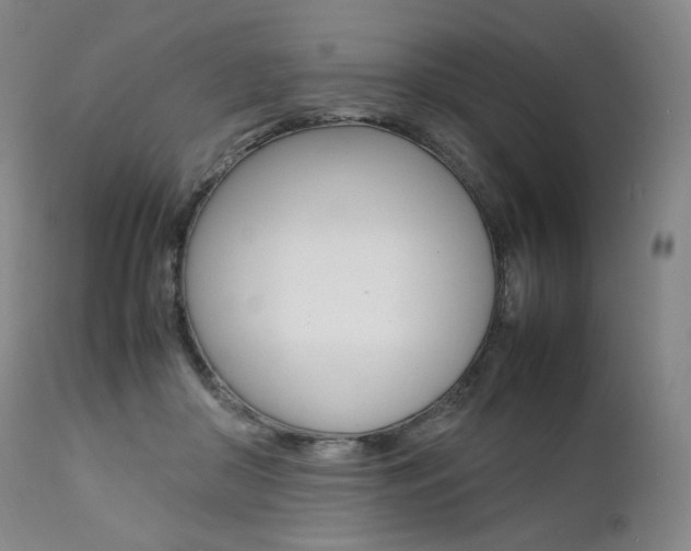 X0000111390410200907101006