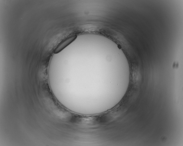 X0000111390411200907101006