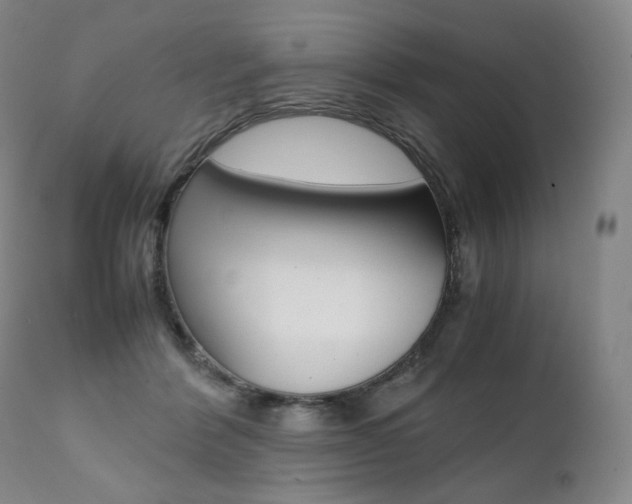 X0000111390412200907101005