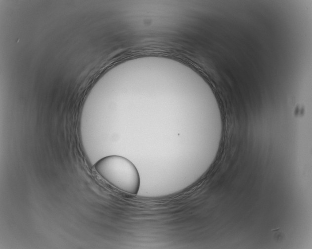 X0000111390413200907101005