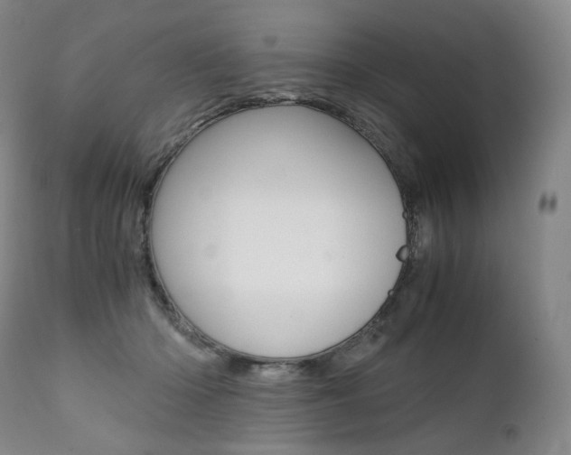 X0000111390414200907101005