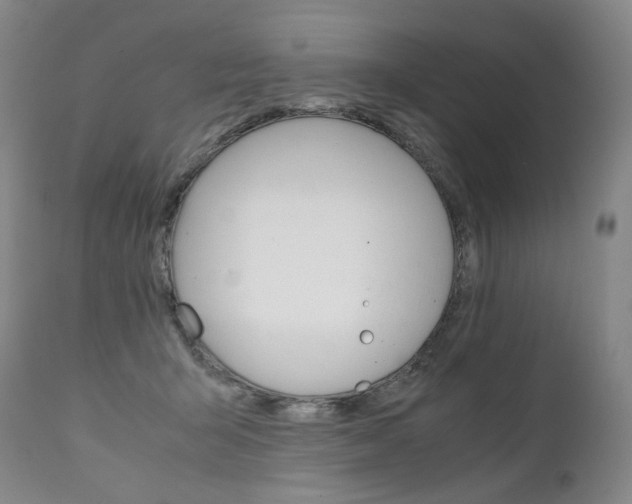 X0000111390415200907101005
