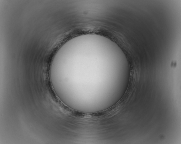 X0000111390416200907101005