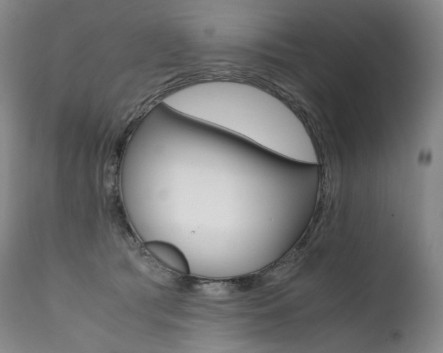X0000111390417200907101005