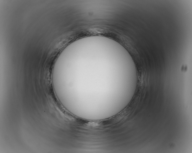 X0000111390418200907101005