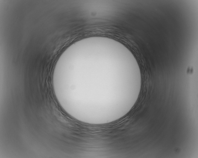 X0000111390419200907101005