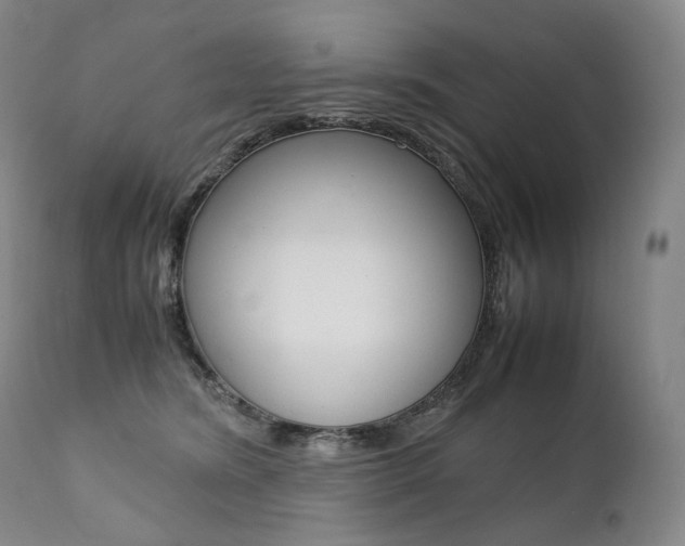 X0000111390420200907101005