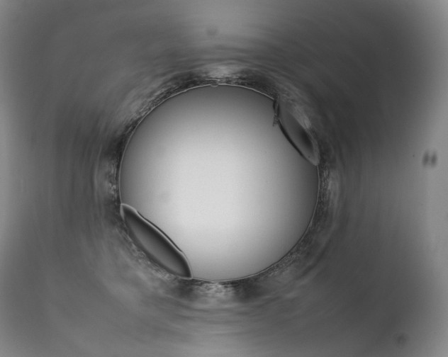 X0000111390421200907101005