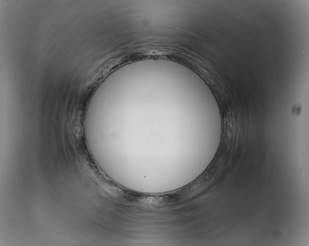 X0000111390422200907101005