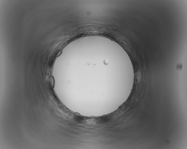 X0000111390423200907101005