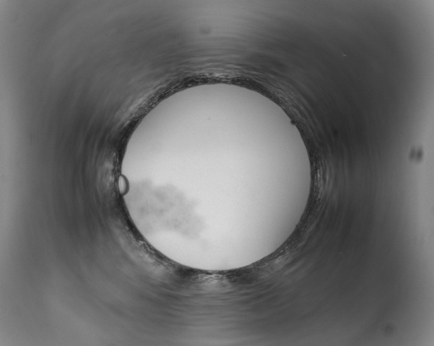 X0000111390424200907101005