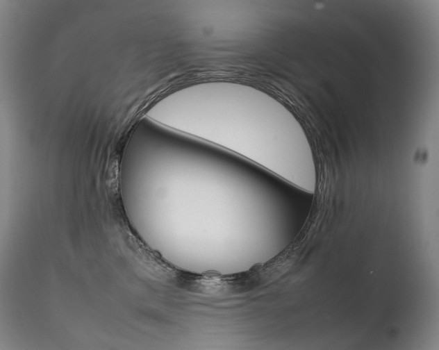 X0000111390425200907101005