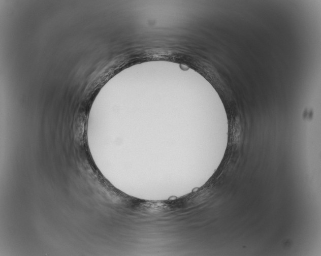 X0000111390427200907101005