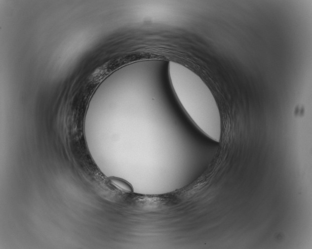 X0000111390428200907101005